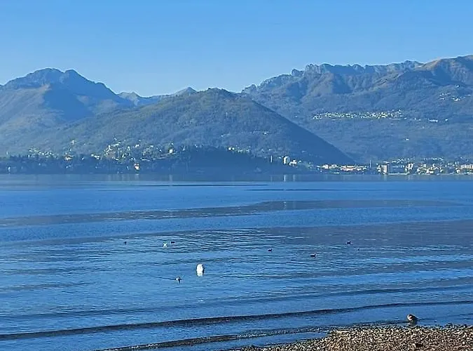 Bellavista Maggiore *